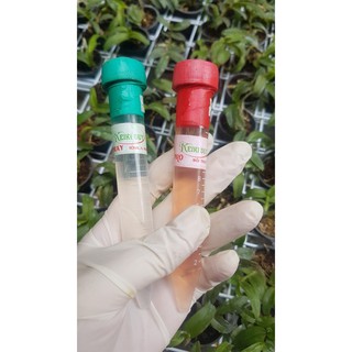 [Giá sỉ] Kích kie duy đỏ - Thần dược cho hoa lan (kieDuy Pro)