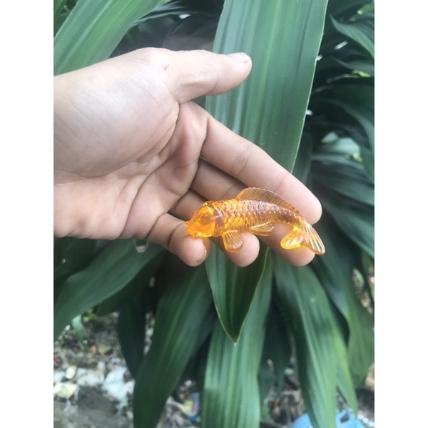 Phôi cá vàng cho   trang trí  mặt  bàn Epoxy resin