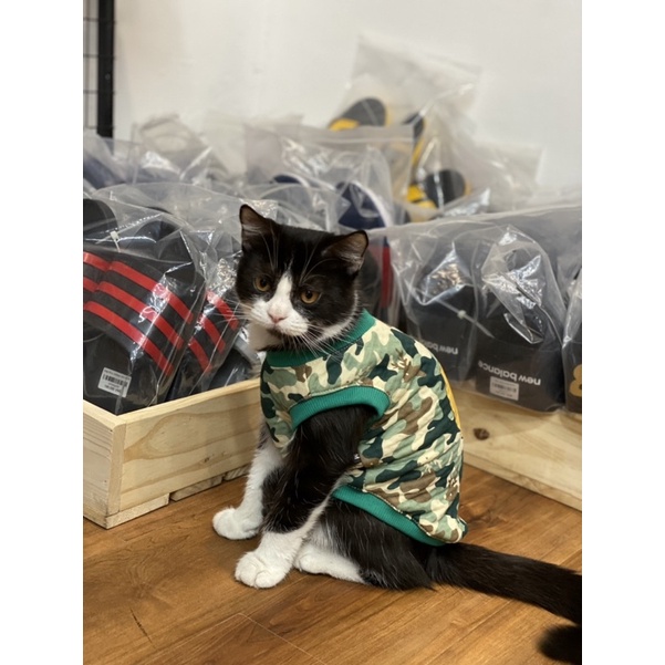 Áo Drew Camo cho chó mèo