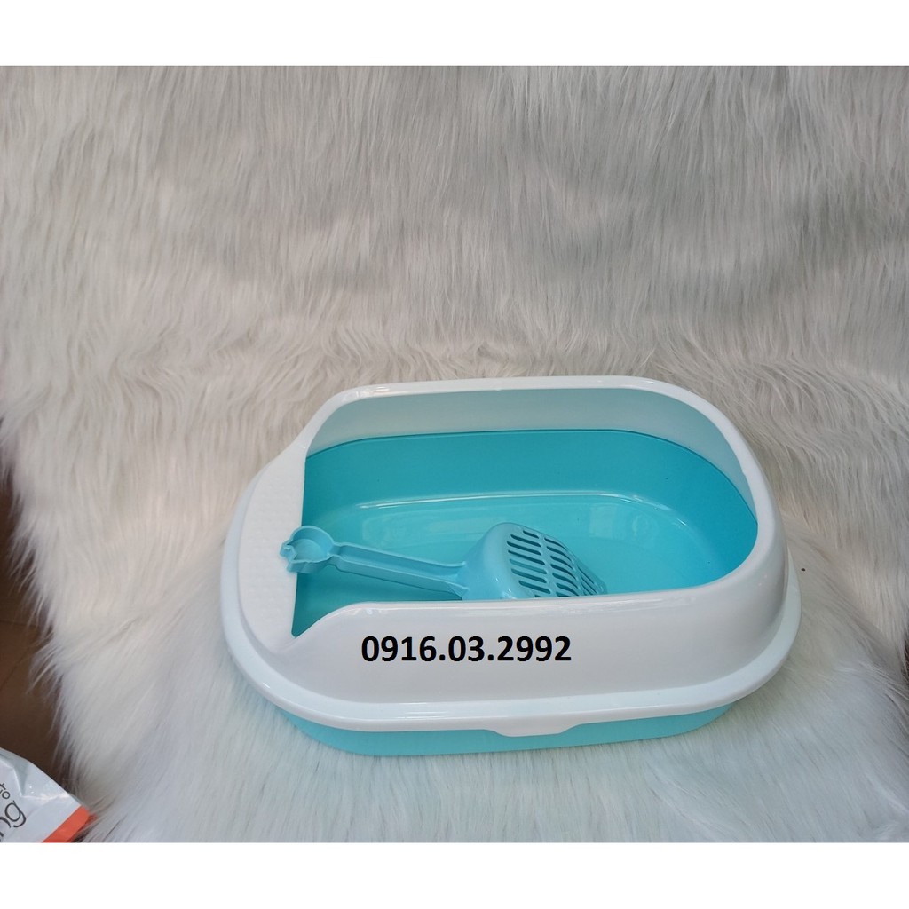 Khay vệ sinh cho mèo dưới 3kg, Khay vệ sinh mèo kích thước 38x28x15 cm