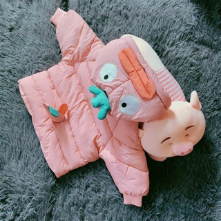 Áo phao vịt cao cấp