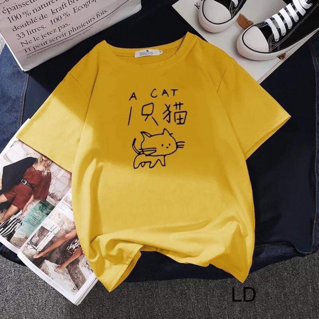 [FREESHIP ĐƠN TỪ 50K] Áo phông mèo A CAT LDU0519