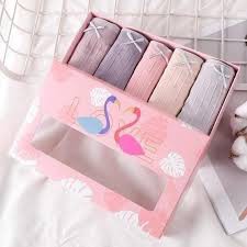 Hộp 5 chiếc quần chip kháng khuẩn ,hộp hình con hạc hồng (có sỉ)
