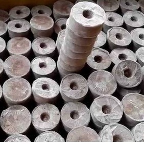 Viên nén ươm hạt xơ dừa - viên nén ươm hạt - 10 viên -sth