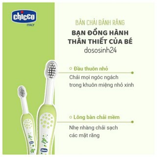 Chicco - Bàn chải đánh răng cho bé 6M+