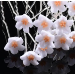 Bộ 10 trâm kẹp tóc hình chữ U xinh xắn đính hoa 5 cánh trắng đỏ hồng tím xanh dương đậm nhạt cho bạn gái / cô dâu