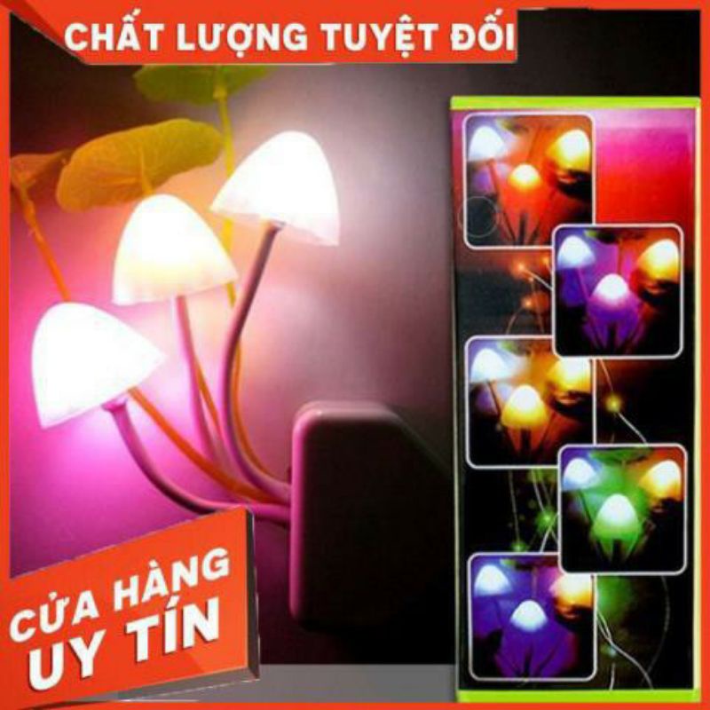 Đèn ngủ hình cây nấm cảm ứng ánh sáng avatar#