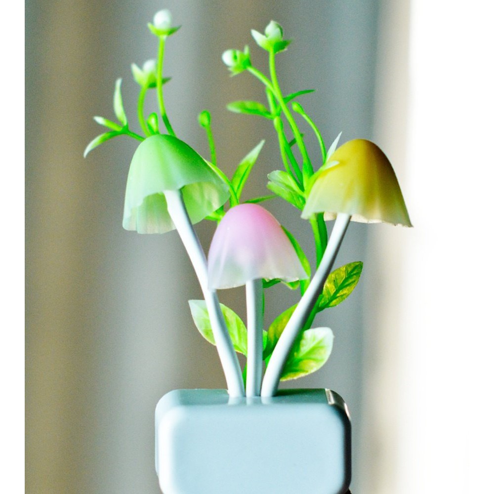 Đèn ngủ nấm cảm ứng | BigBuy360 - bigbuy360.vn