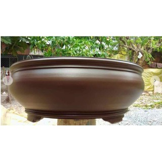 Sơn chậu kiểng 1k Yes 1kg