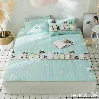 Chiếu tencel 2mx2m2