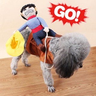 bộ đồ hóa trang cowboy cho chó