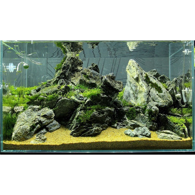 500g Cát nắng vàng trải bể cá và bể thuy sinh như bãi biển