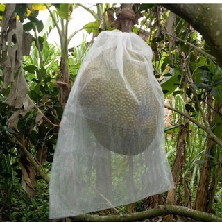 Túi bao trái mít 50x70 ( 50 túi) siêu bền