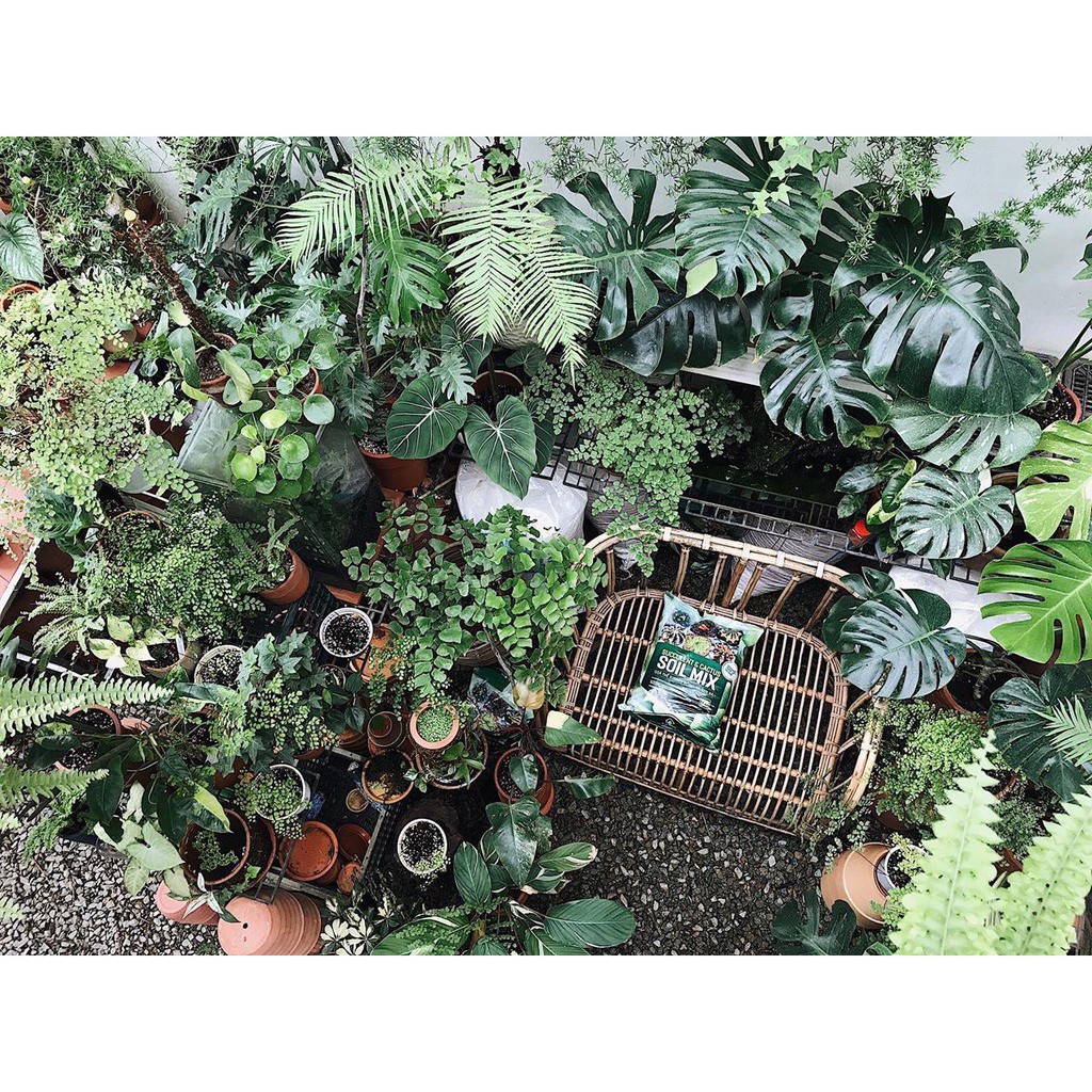 Bao 6kg Soil mix BA đất trộn hữu cơ chuyên trồng sen đá xương rồng, Soil Mix BA 6kg