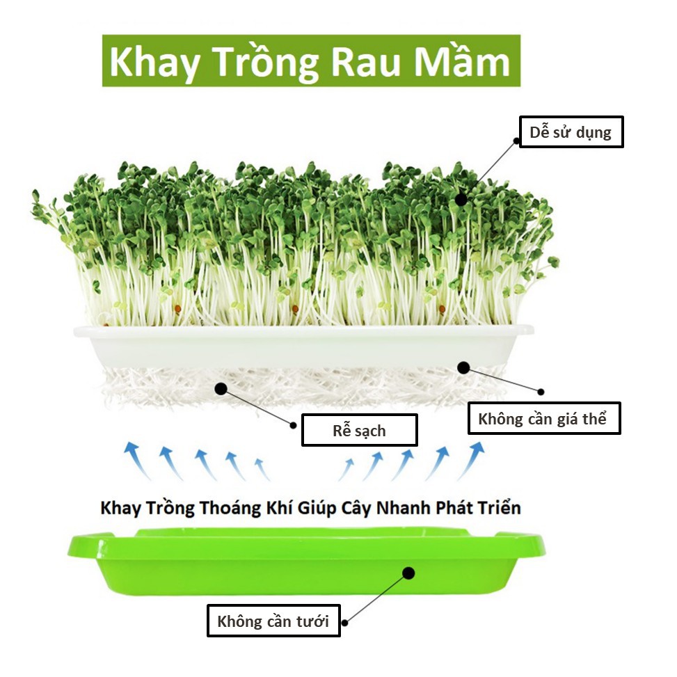 Khay trồng rau mầm thủy canh TH Garden - Khay nhựa trồng rau sạch thông minh - Nhựa nguyên sinh an toàn không độc hại