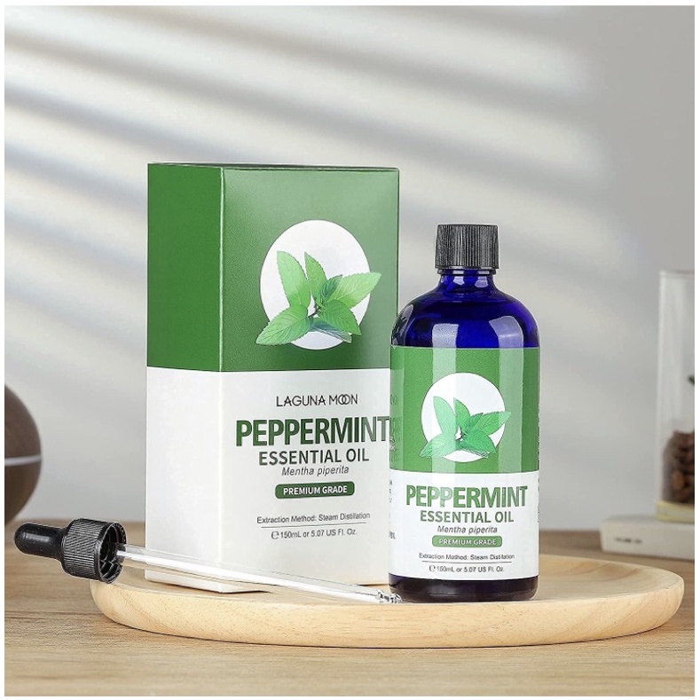 Tinh dầu Bạc hà 100% nguyên chất Peppermint Essential Oil for Diffuser