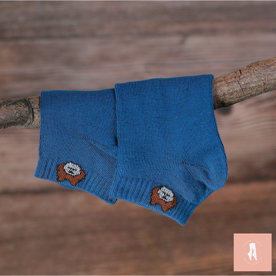 Sét 5 đôi Tất gấu cổ ngắn nữ phong cách Hàn Quốc, vớ nữ chất liệu cotton thoáng mát