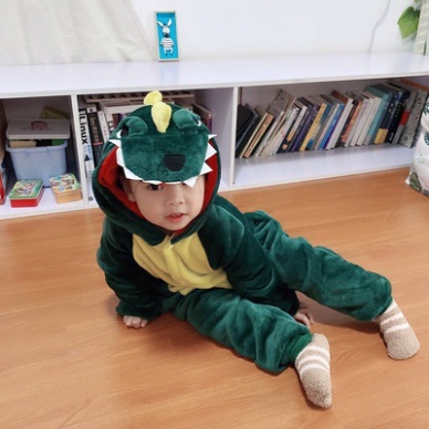 Bộ Đồ Ngủ Hình Khủng Long Xanh Bộ Đồ Liền Thân Cá Sấu Cho Người Lớn Đồ Khủng Long Cho Em Bé - Hipsstore - HÀNG MỚI VỀ | BigBuy360 - bigbuy360.vn