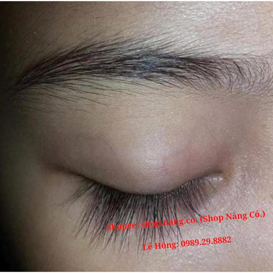 [100% Chính Hãng] Tinh Dầu Dài mi Marroc, rậm lông mày, Serum Dài mi Marroc, Kích thích mọc lông mi, lông mày, Dưỡng dài | BigBuy360 - bigbuy360.vn