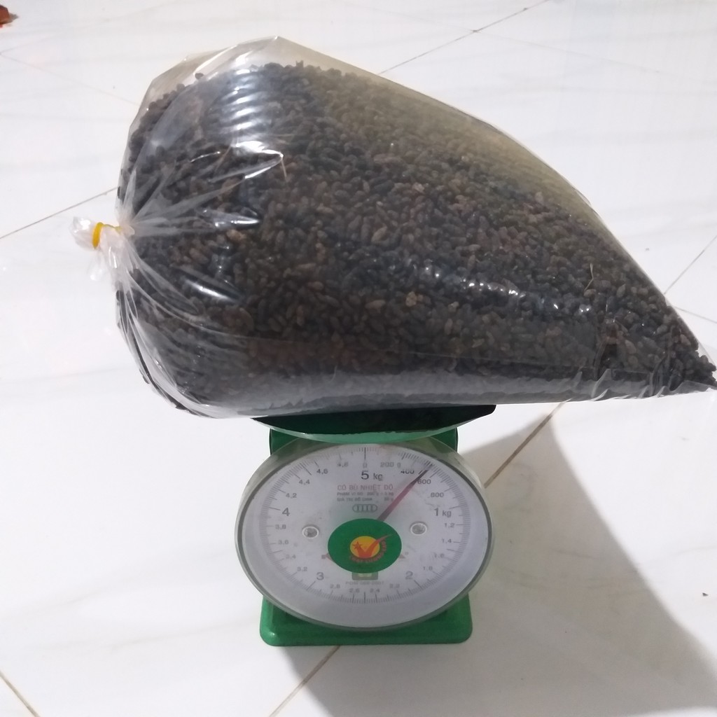 500g Phân dơi nguyên chất