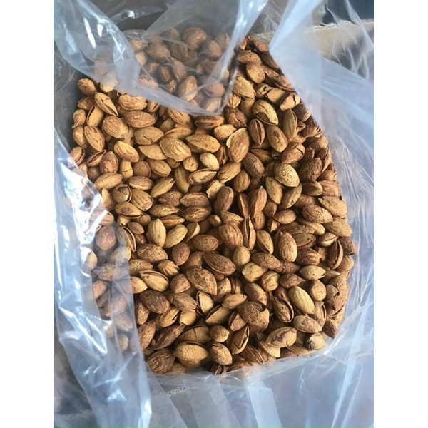 Hạt hạnh nhân Trần Anh Food - Hạt hanh nhân rang bơ còn vỏ hộp 500G loại thơm ngon, ròn rụm