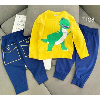 Đồ bộ dài tay bé trai chất cotton mát T108
