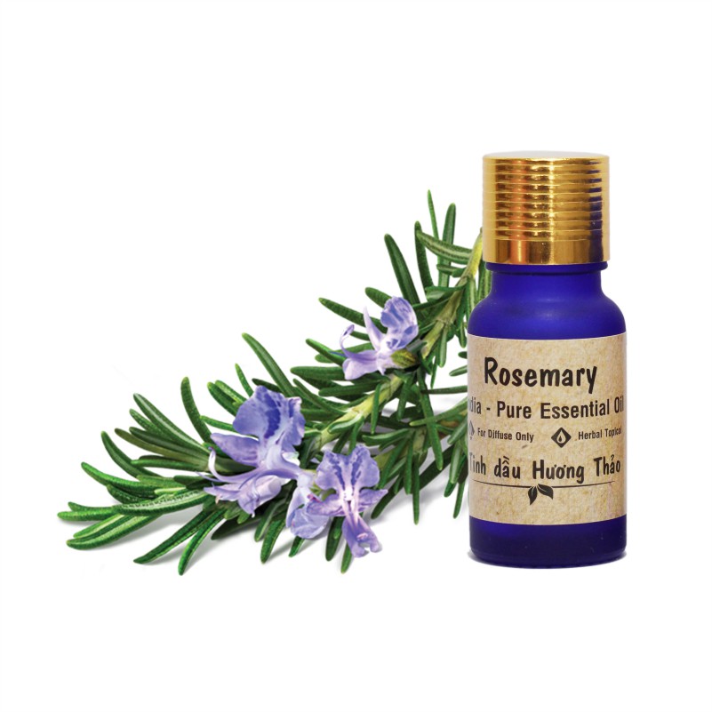 Tinh dầu thiên nhiên hương thảo,phong lữ - Rosemary Essential Oil 10ml - Facare