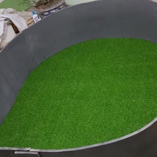 Thảm cỏ lót sới gà chọi cao 2 cm kích thước 2mx3m