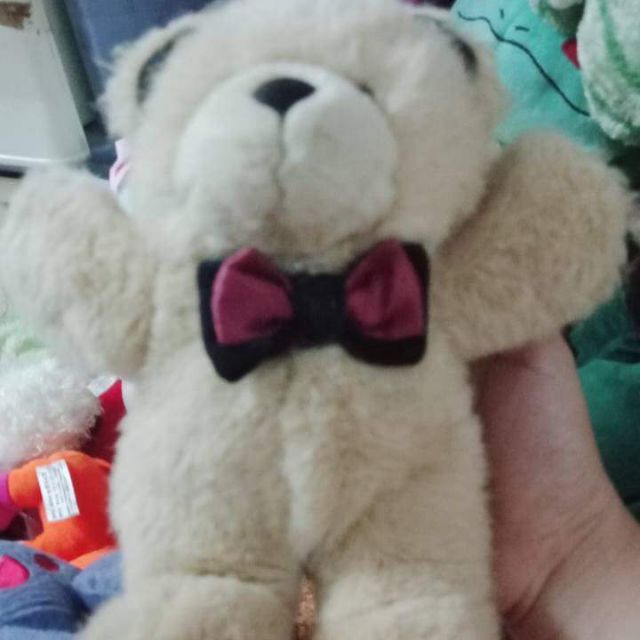 Gấu của khách long long