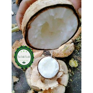 Dừa Sáp Bi Cầu Kè Đặc Ruột