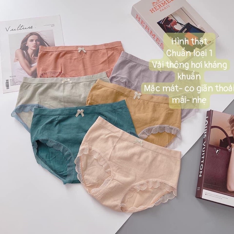 Quần chip thông hơi viền ren kháng khuẩn mặc siêu thích