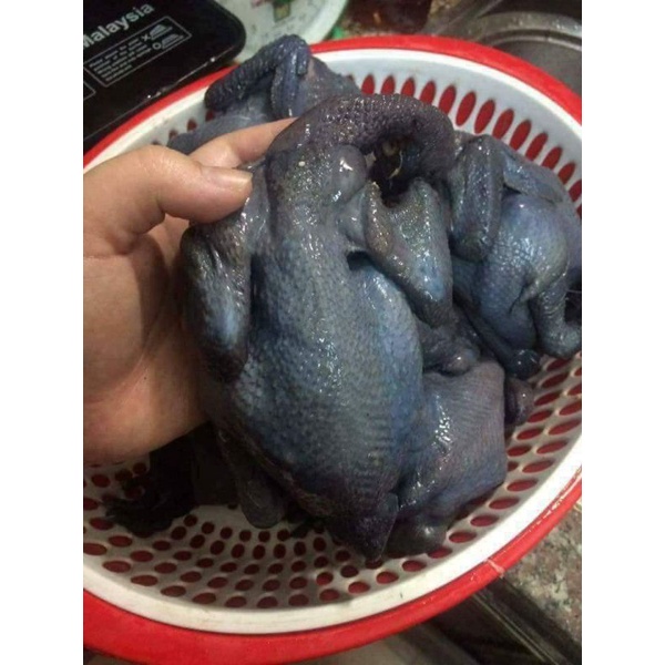 2 con gà ác 190gr - 250gr/con ( đã sơ chế)
