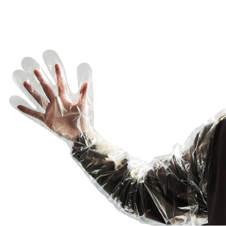 Găng tay thụ tinh bò Dương ninh ( 50-100 cái ) Nilong 90cm GT34