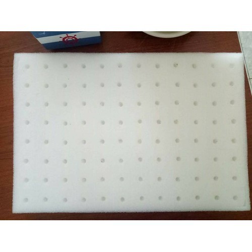 Mút ươm hạt trồng Rau Thủy Canh - 480 viên(5 sheets)