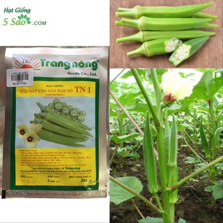 Đậu Bắp Cao Sản TN 1 ( 50 gr )