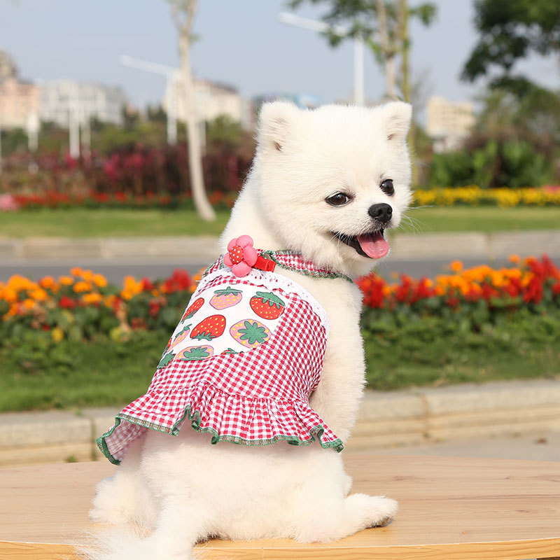 Đầm dây HiPiDog nhiều họa tiết và màu sắc dễ thương thời trang cho thú cưng