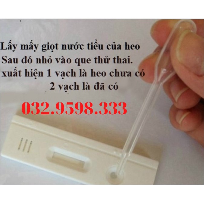 Que Thử Thai Cho Lợn, Độ Chính Xác Cao 90%  Hàng Chuẩn Công Ty