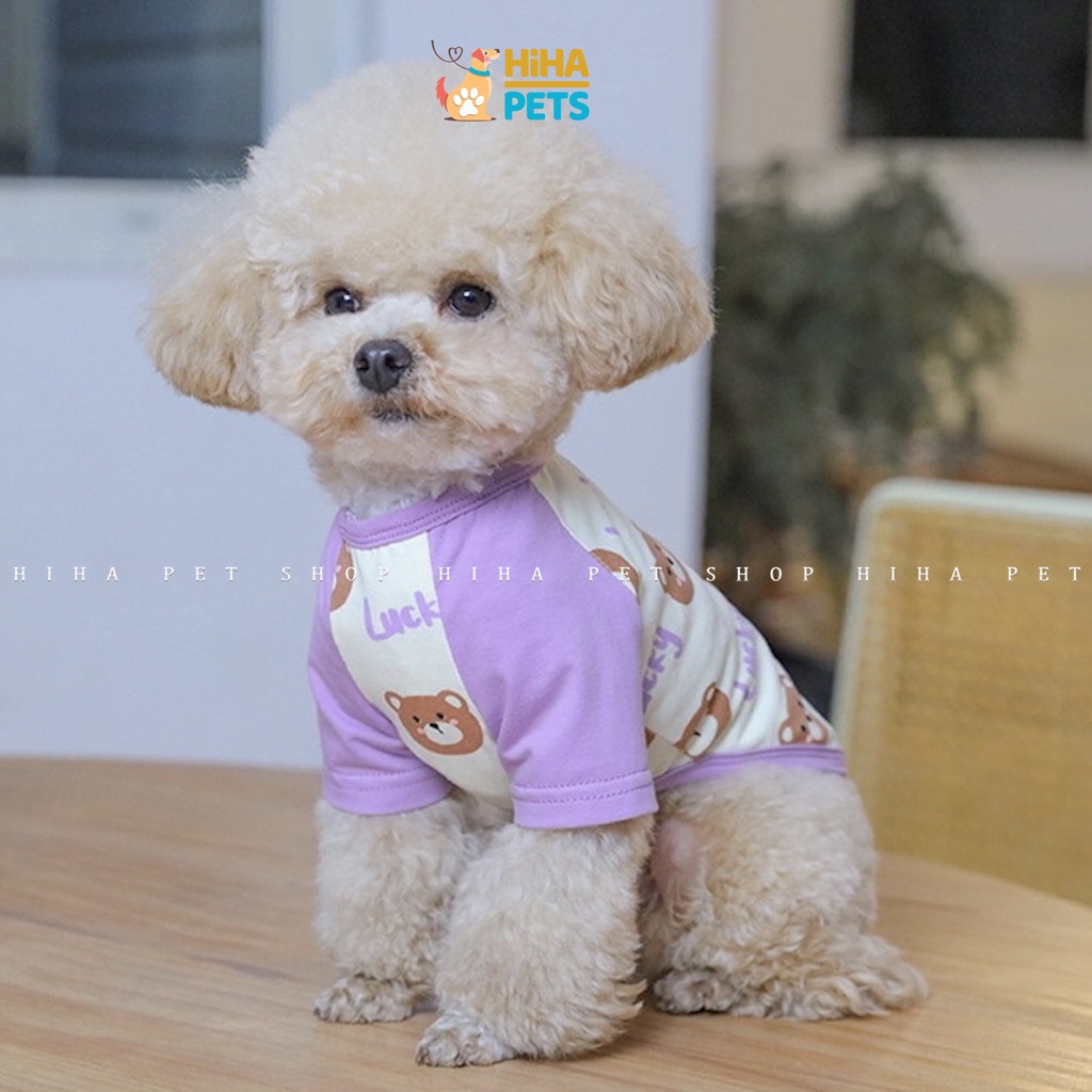 Áo Thun Chó Mèo Thun Cotton 100% Hàng Cao Cấp Quần Áo Thú Cưng Thời Trang Mùa Hè Hihapet.