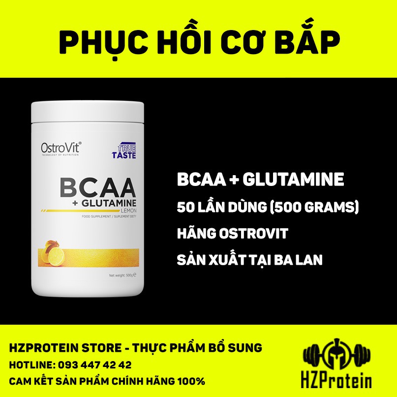 OSTROVIT BCAA GLUTAMINE - PHỤC HỒI CƠ BẮP TỐI ƯU (500 GRAMS) | Shopee Việt  Nam