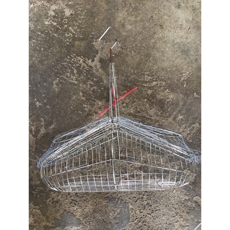 Bẫy inox chim chào mào, choè than