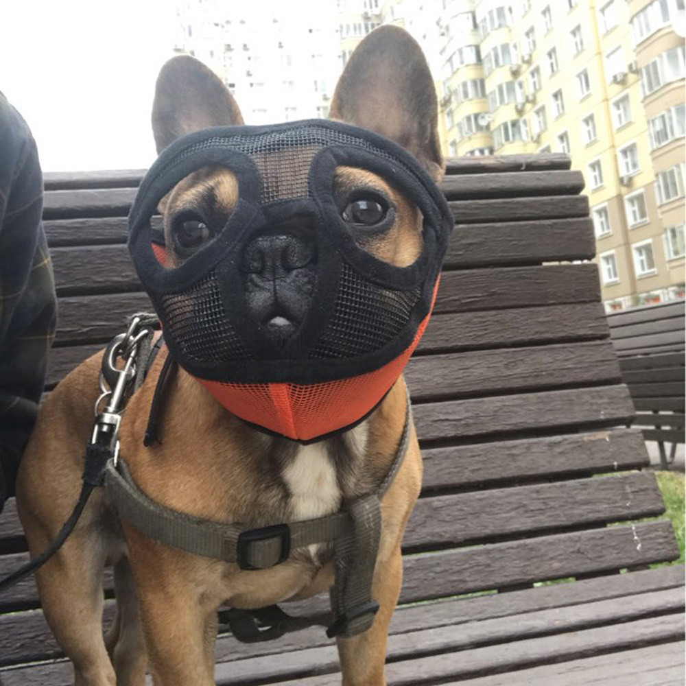 Rọ Mõm An Toàn Cho Thú Cưng