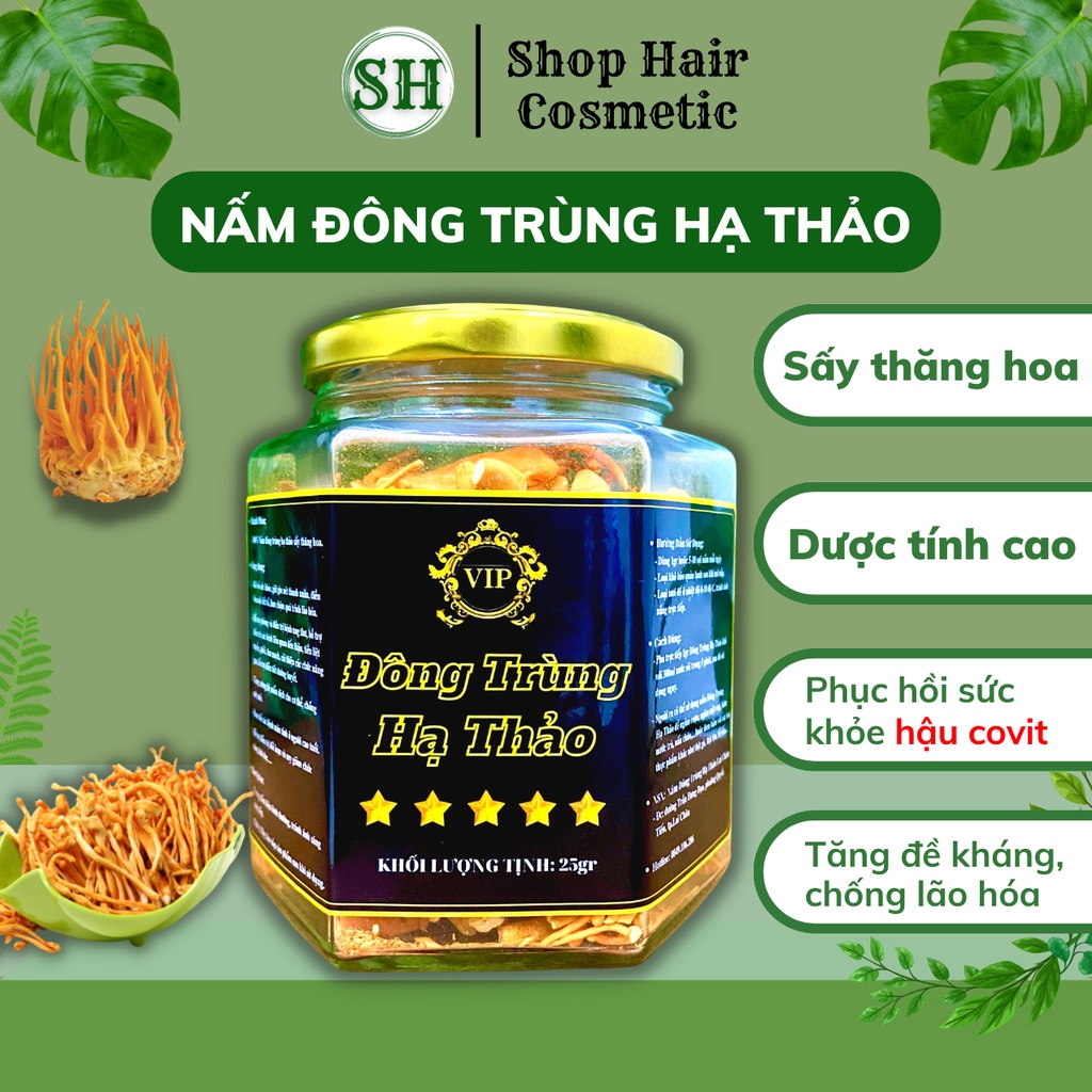 Đông trùng hạ thảo khô hộp 25g sấy thăng hoa, nấm đông trùng loại thượng hạng đạt tiêu chuẩn của Viện Hàn Lâm VN