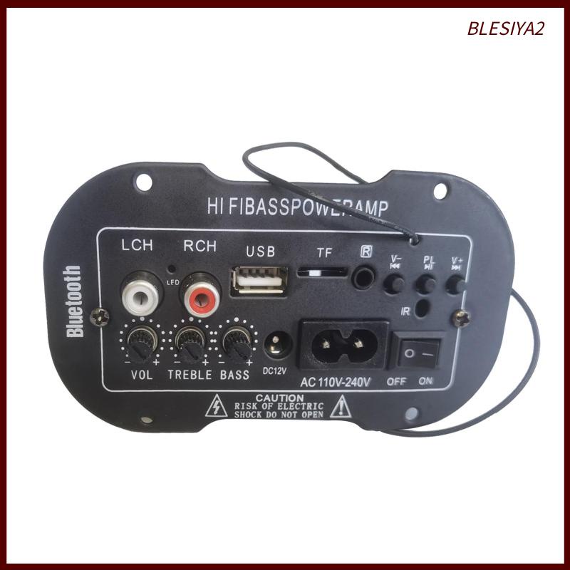 Bảng Mạch Khuếch Đại Tín Hiệu Radio TF / USB Blesiya2