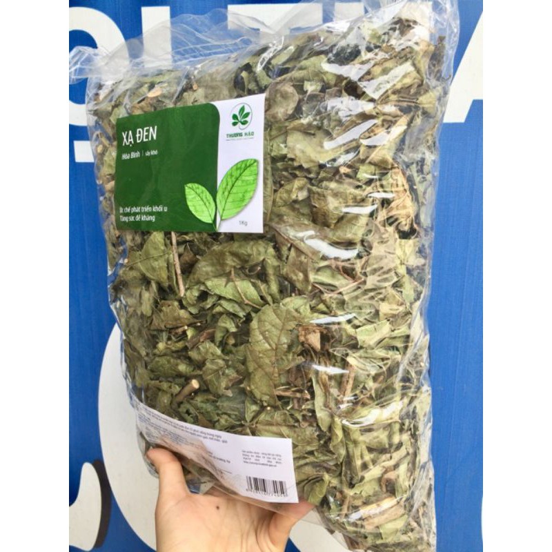 cây xạ đen Hòa Bình