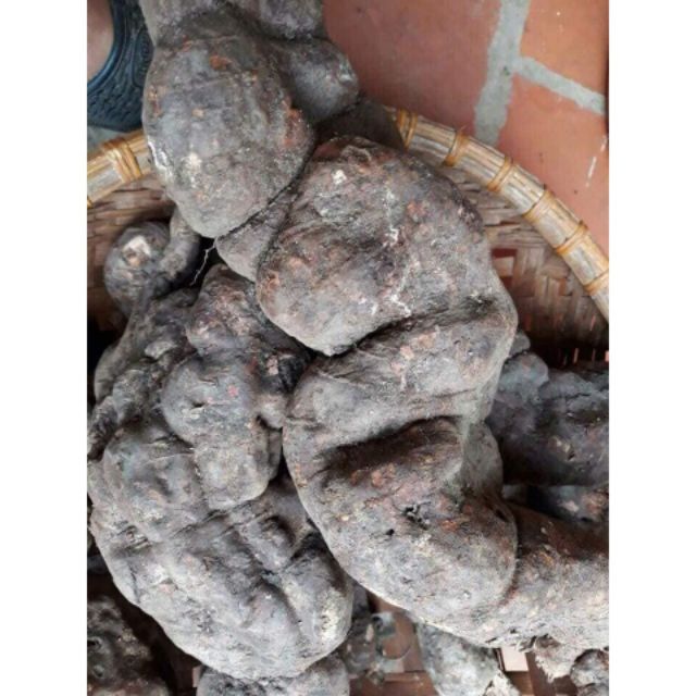 Hà Thủ Ô Đỏ 1Kg (Đã Sơ Chế)