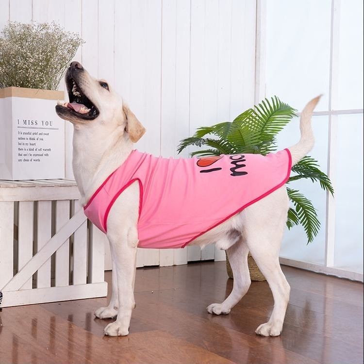 Quần áo chó Golden Retriever phần mỏng Corgi Samo Husky Labrador lớn vật nuôi mùa xuân và hè lưới màu đỏ