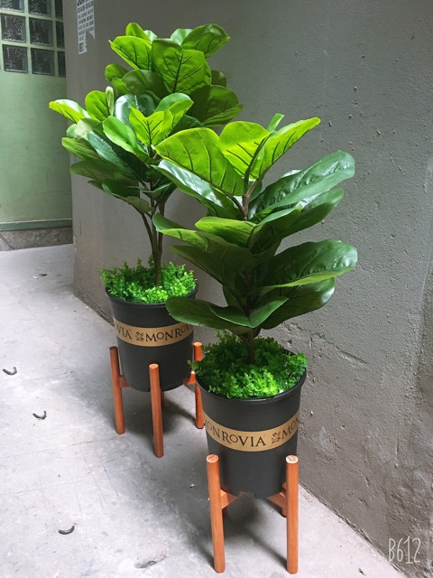 Chậu nhựa trồng cây size lớn kiểu dáng Vintage in chữ - HN