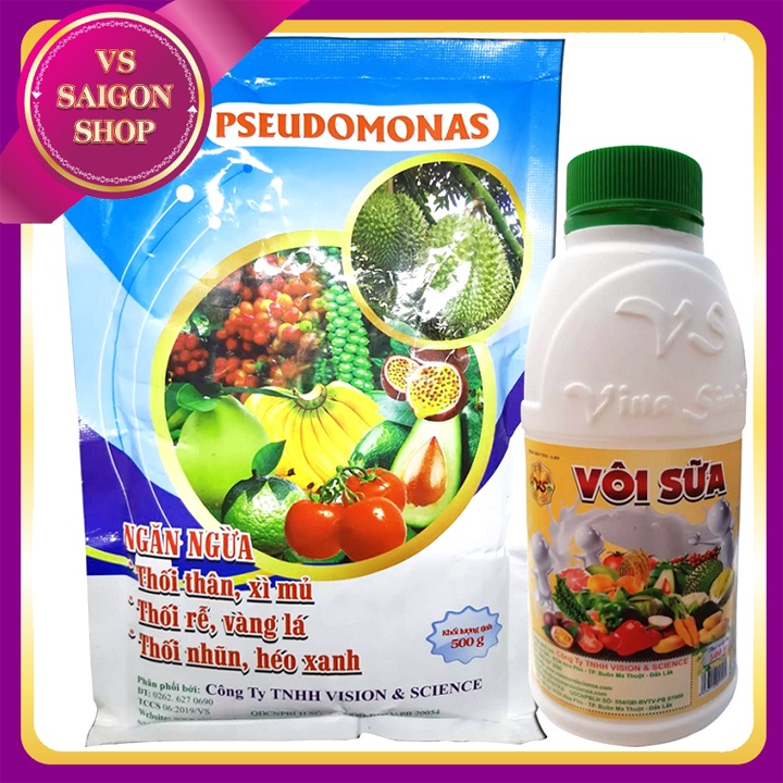 PSEUDOMONAS VÀ VÔI SỮA: Phòng Ngừa Bệnh Chết Nhanh, Chết Chậm, Vàng Lá, Thối Rễ Cây Trồng