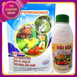 Pseudomonas và vôi sữa: phòng ngừa bệnh chết nhanh, chết chậm, vàng lá, thối rễ cây trồng