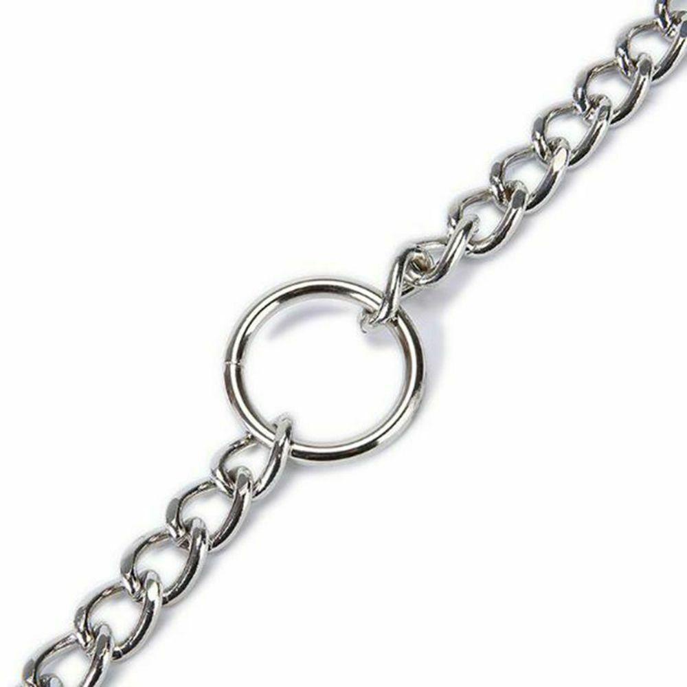 Dây Xích 4 Kích Cỡ Dắt Thú Cưng Đi Dạo DAPHS